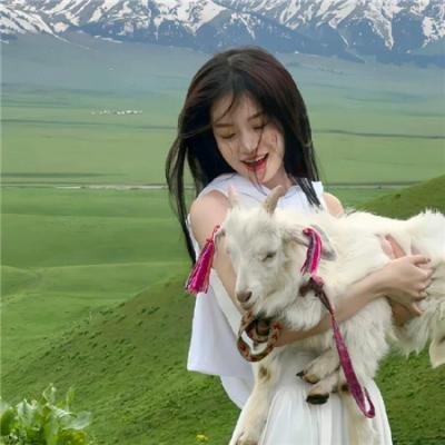 政宗君的复仇